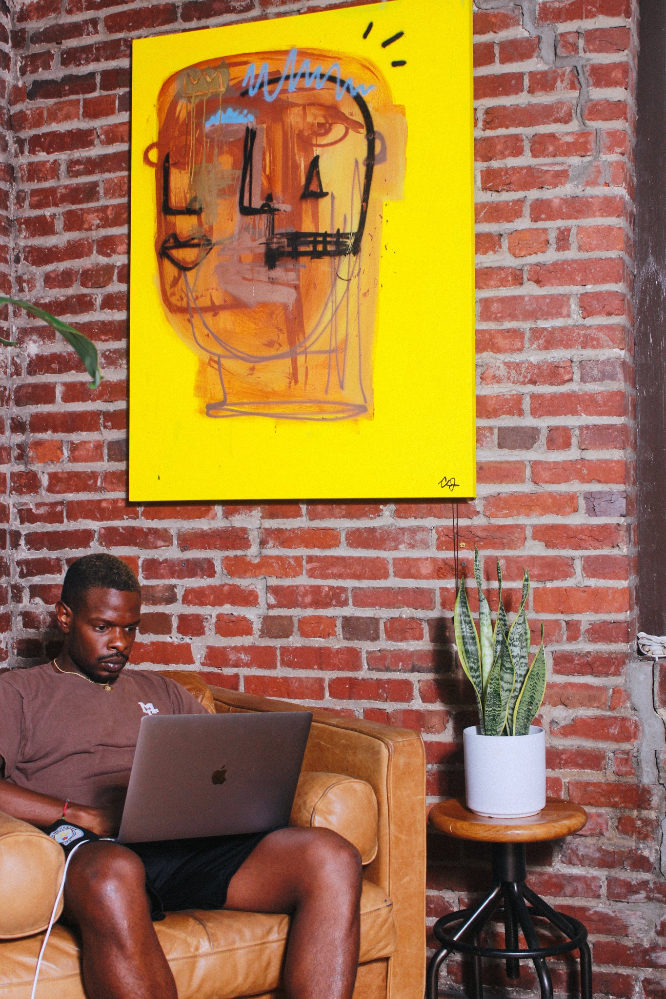 dorm-room-plants-that-boost-productivity-and-wellness-grounded