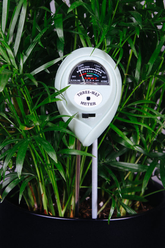 How To Read Your Plant's Moisture Meter