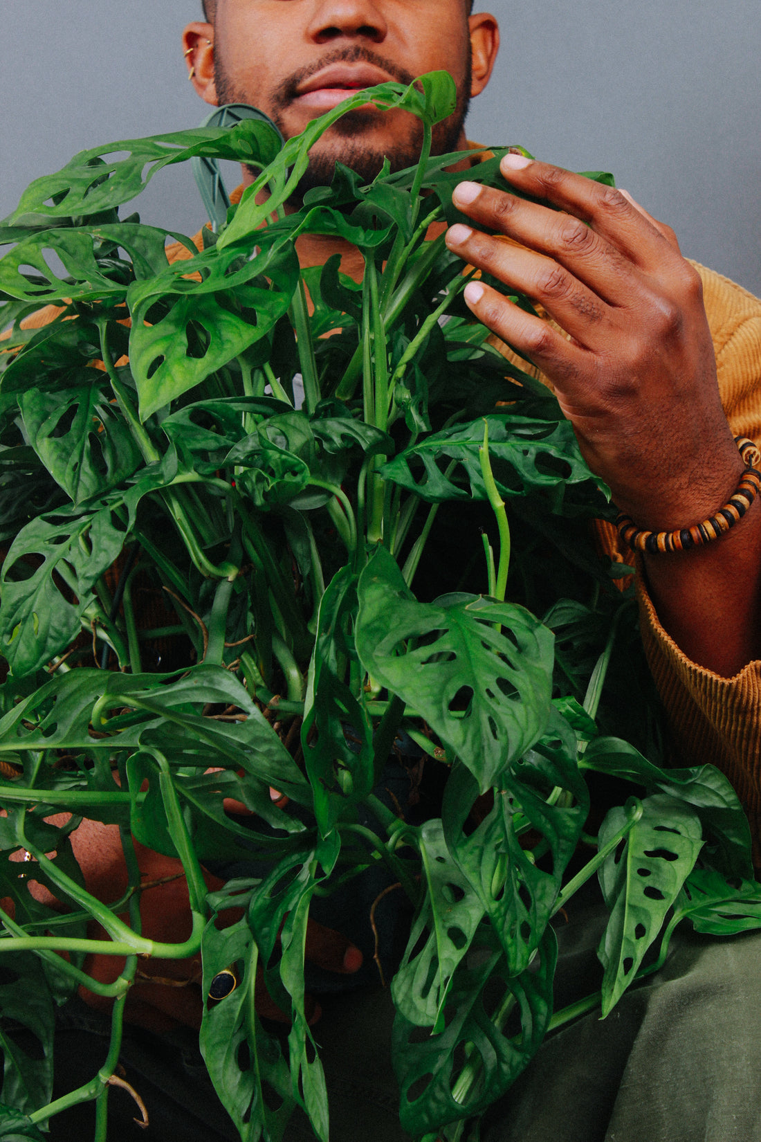 A person treats their plant for pests.