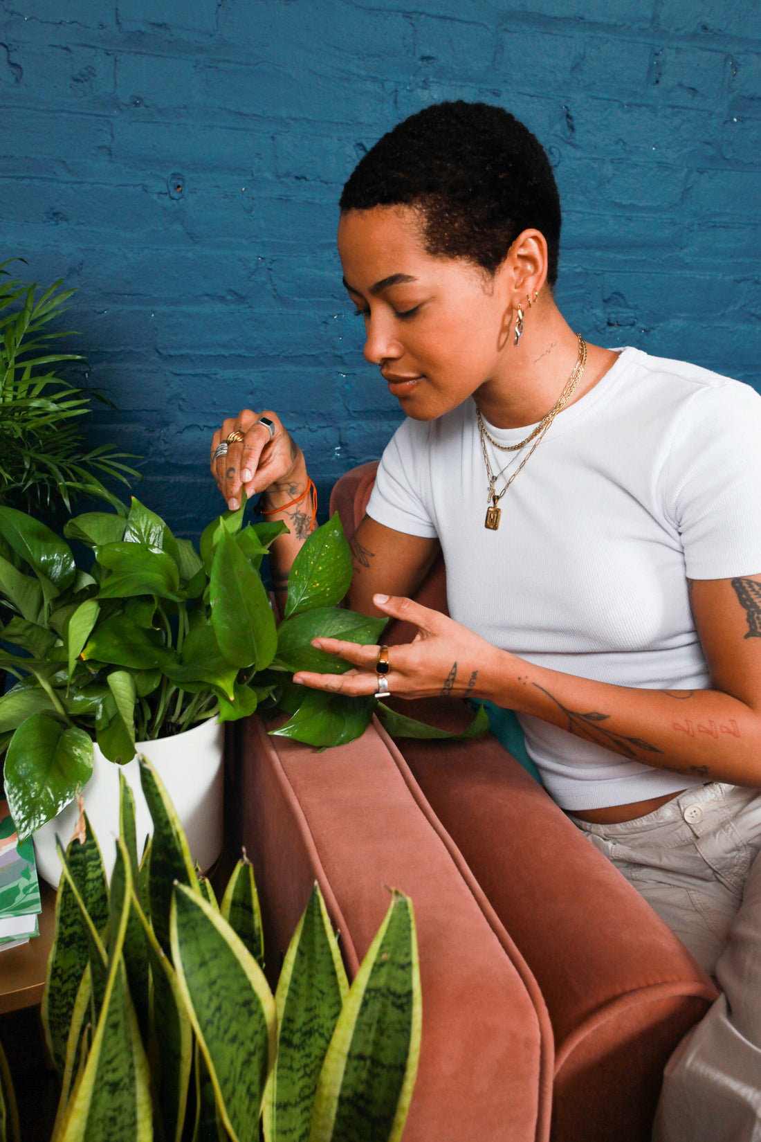 Treating Fungus on Your Houseplants