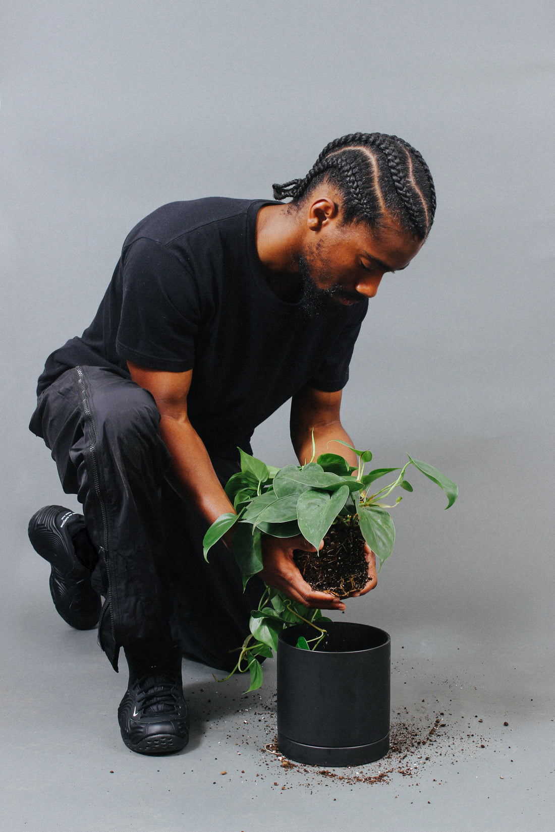 Spring Cleaning for Houseplants: Repotting, Pruning, and Refreshing Soil