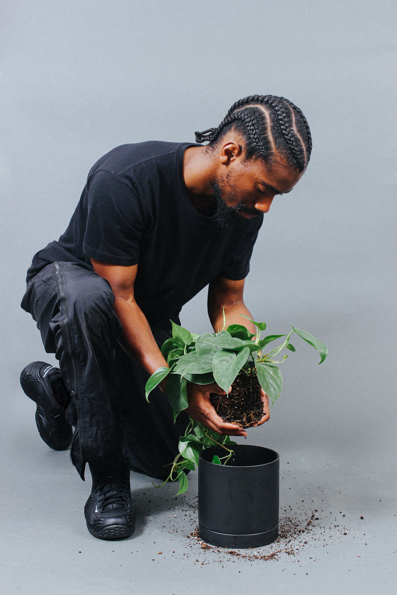 Tips to Revive a Dying Plant Grounded