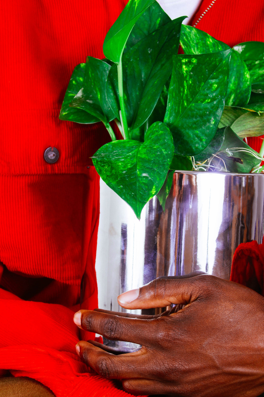 A person holds their new plant close.
