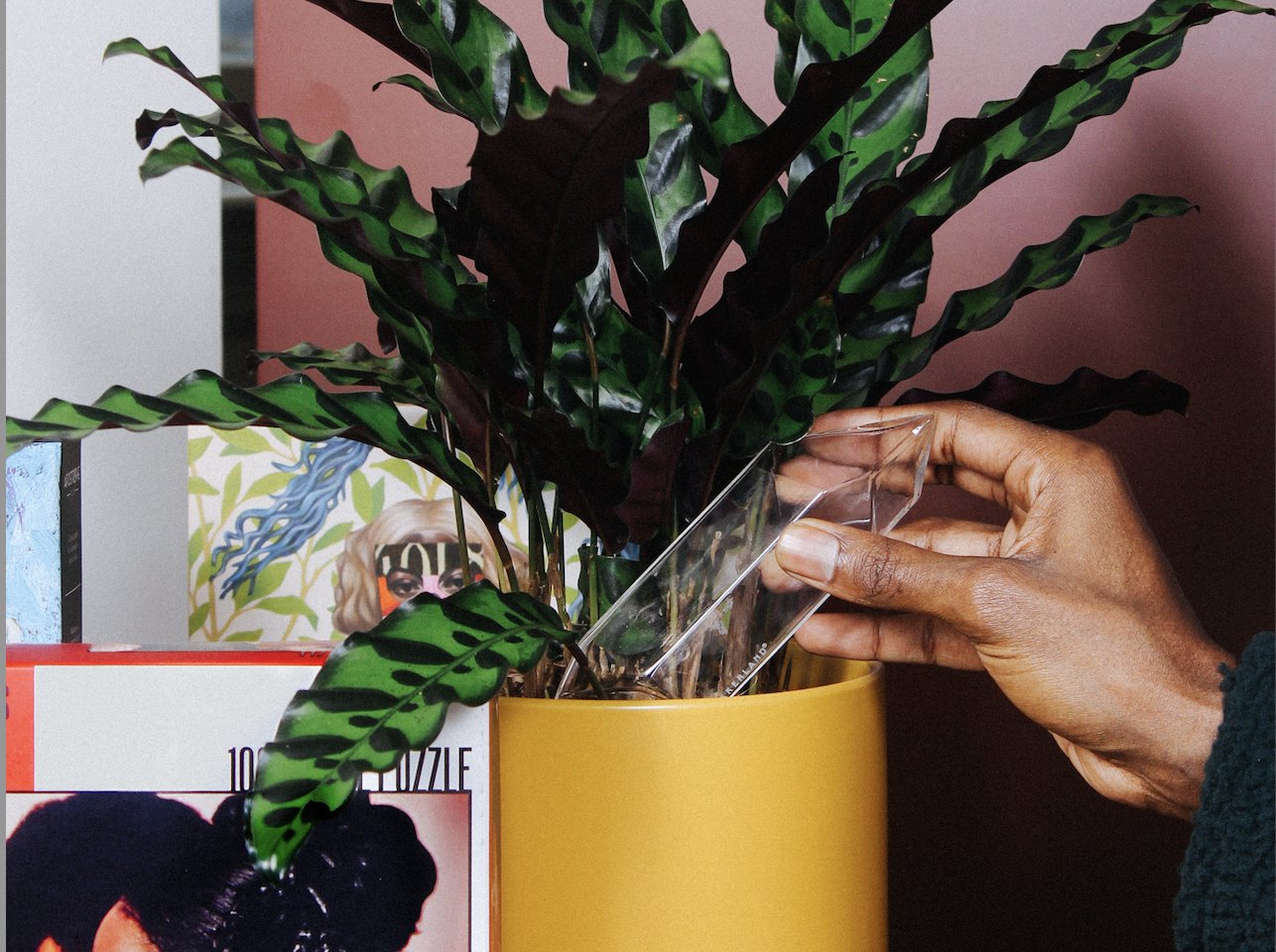 Accessories Grounded