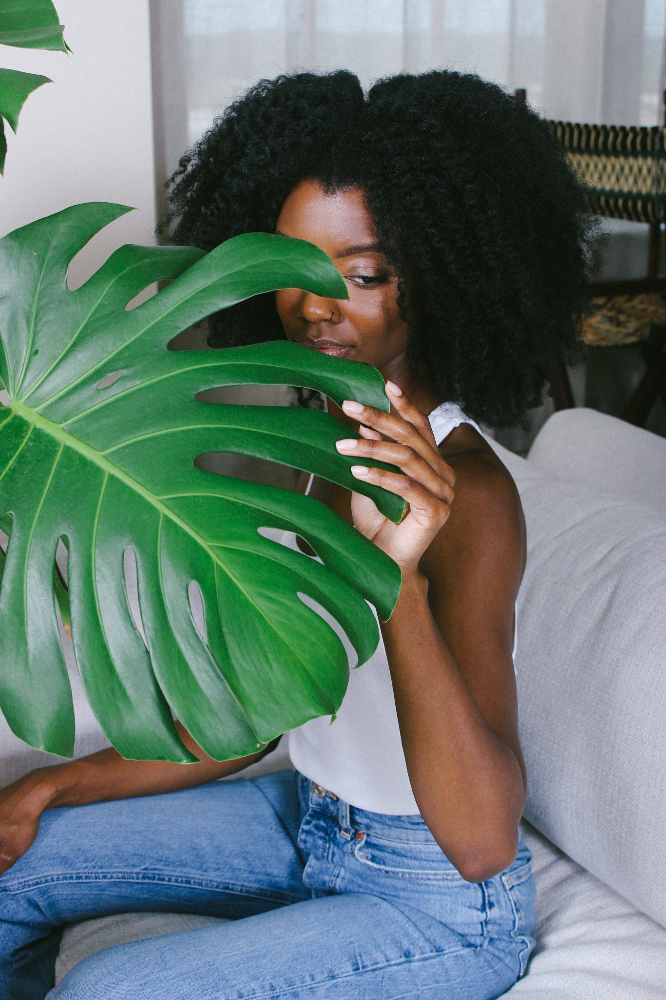 10-in Monstera Deliciosa