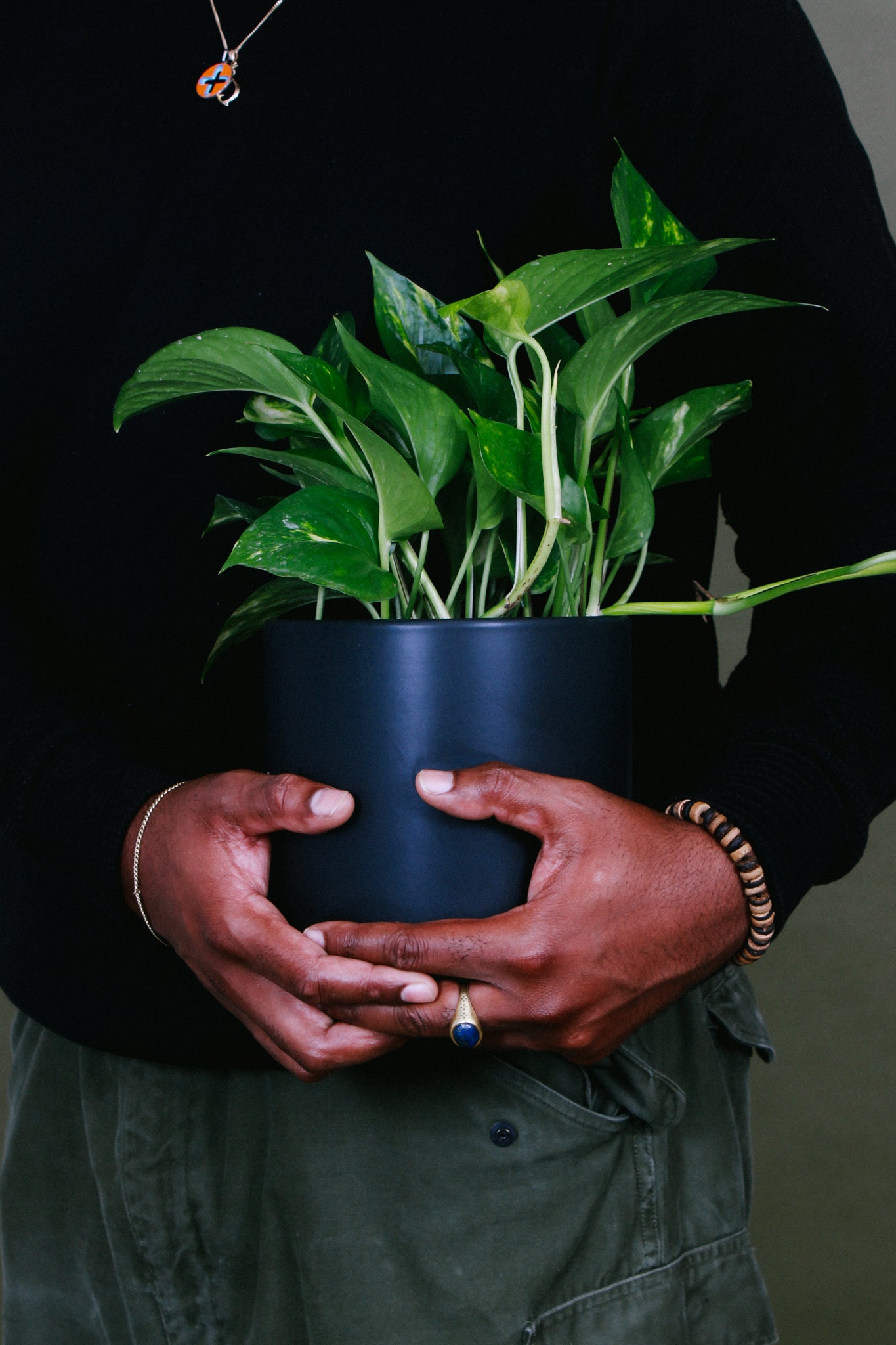 Jade Pothos