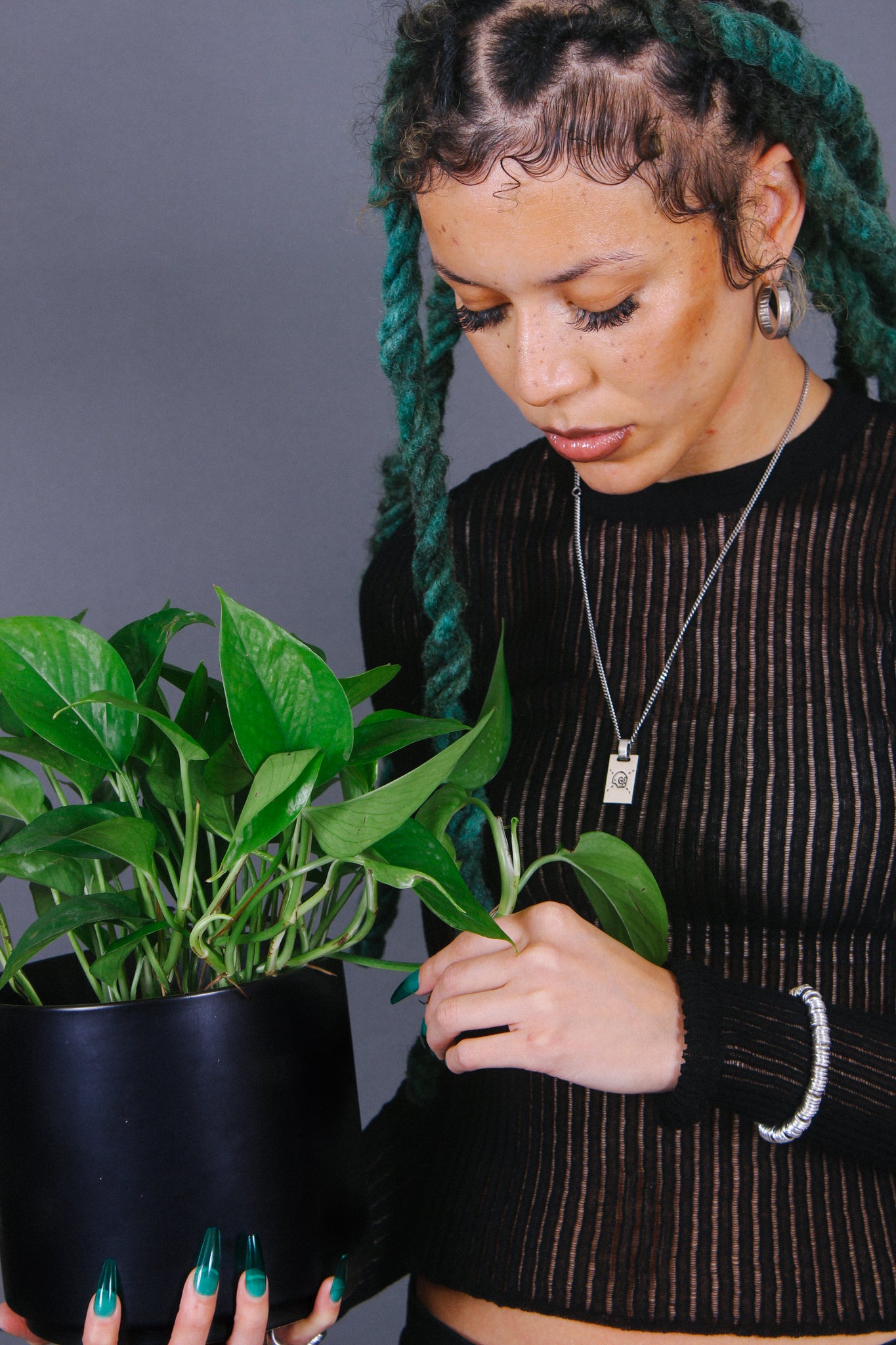 Jade Pothos