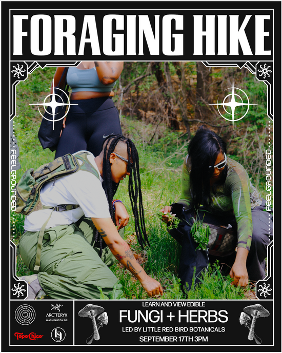 Grounded Foraging Hike