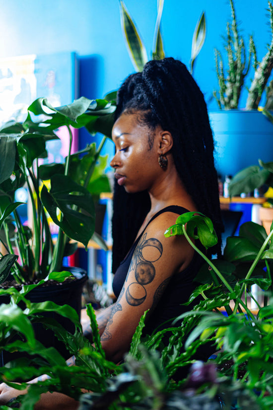 A person looks peacefully upon their houseplants.