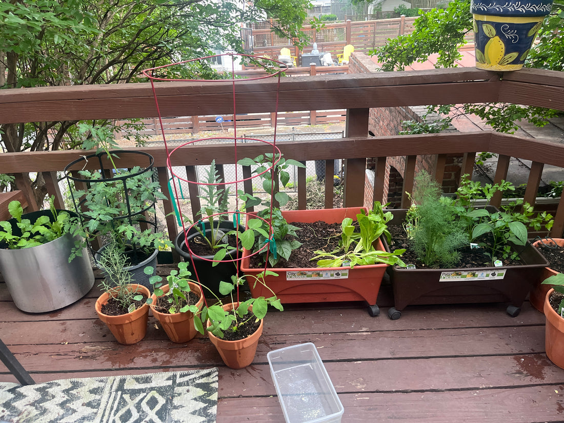Gardening For Wellness The Physical And Mental Health Benefits Of Gro Gardening For Wellness The Physical And Mental Health Benefits Of Gro