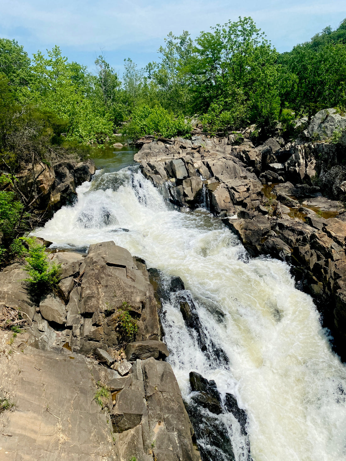 A waterfall flows through a D.C. trail surrounded by trees.