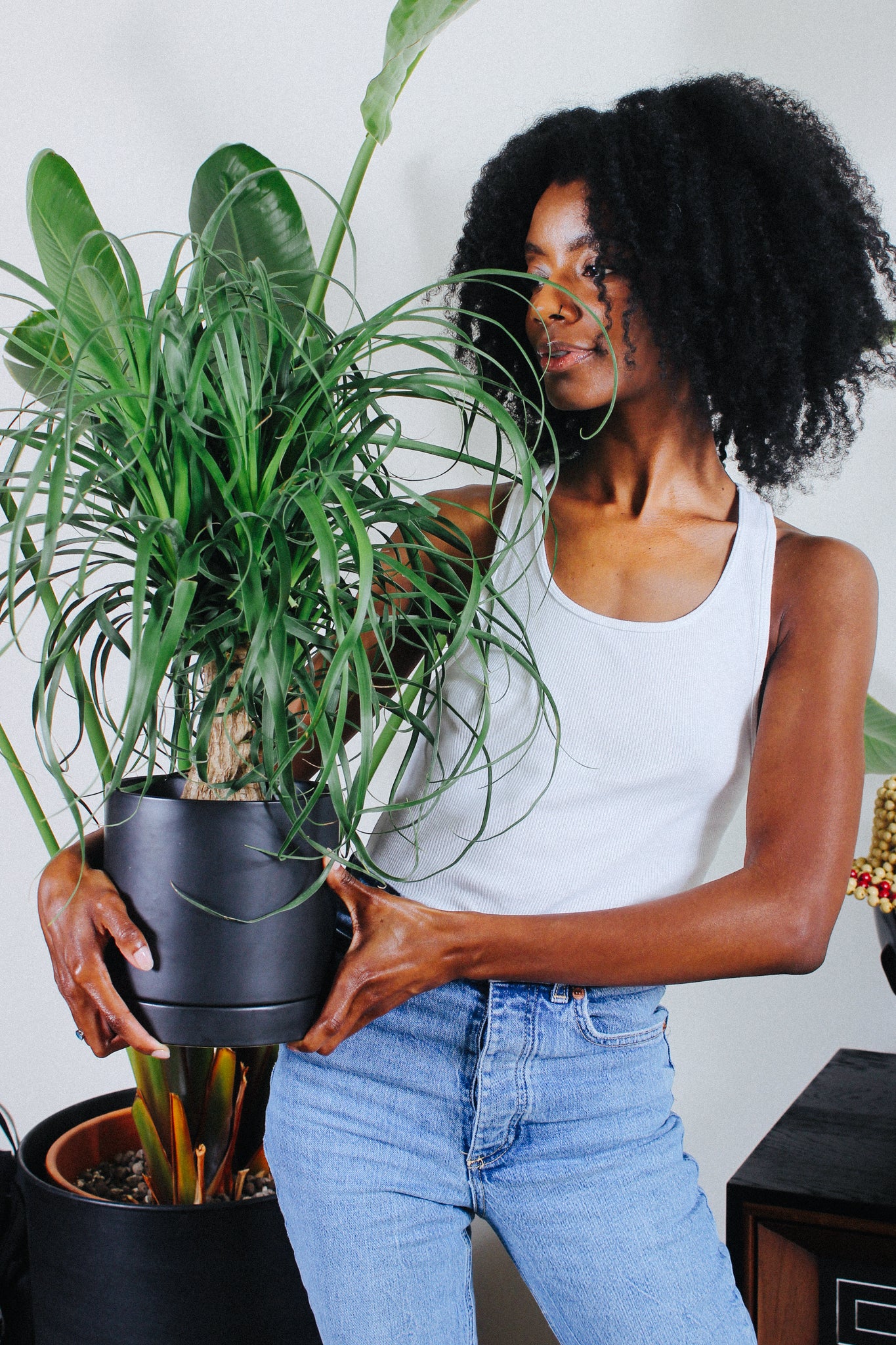 What Daylight Savings Time Means For Plant Care – Grounded
