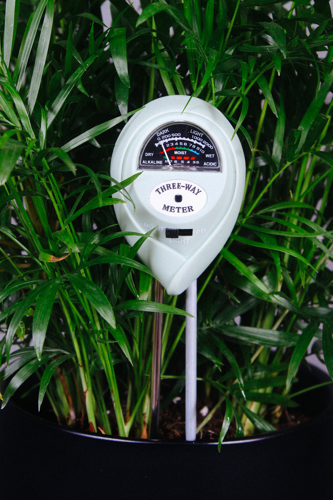 How to Use a Soil Moisture Meter