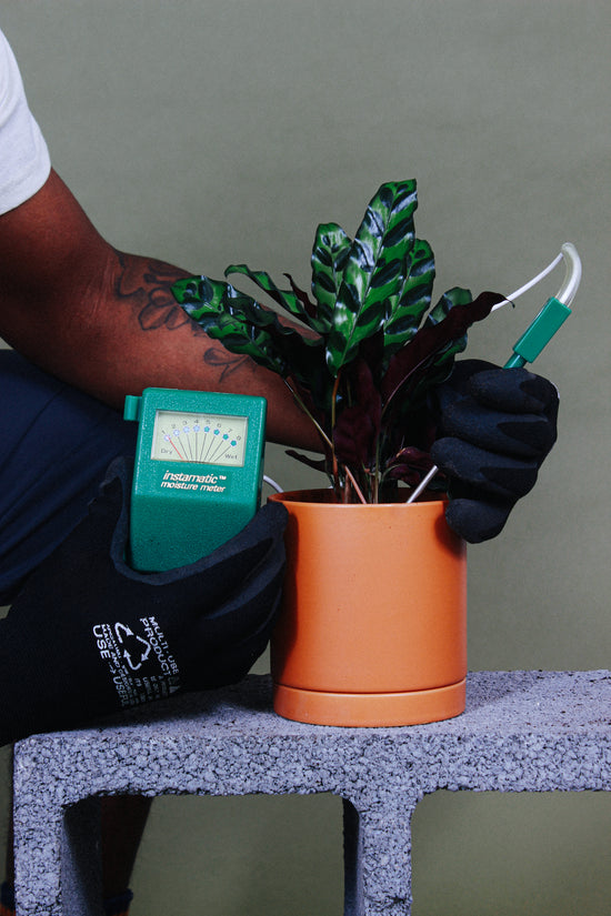 A person uses a moisture meter device to know when to water their plants.