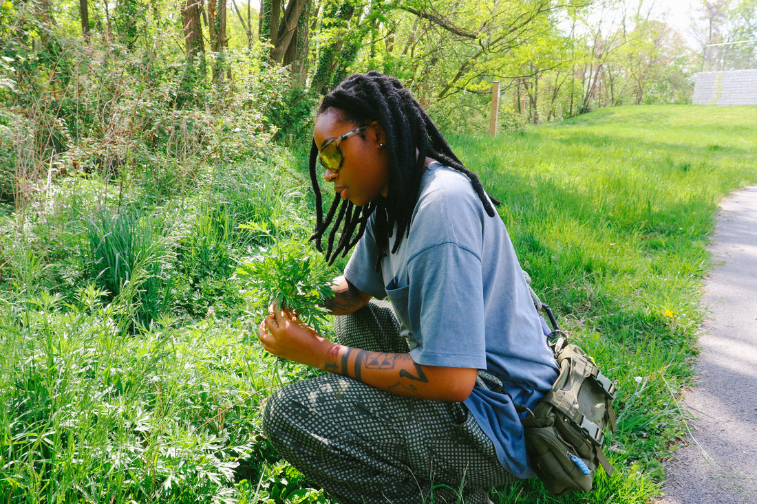 The Impact of Nature on Mental Health: Exploring the Science Behind the Connection