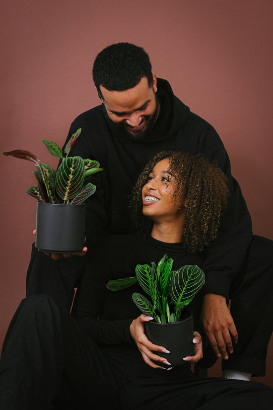 A couple holds plants while smiling at each other. 