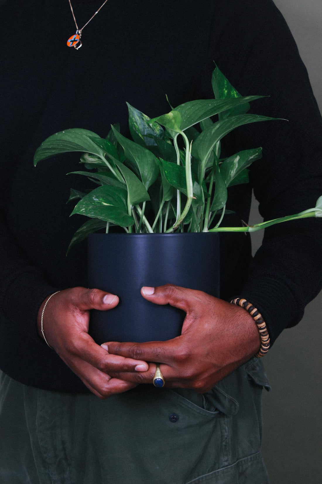 A person holds a Pothos plant close.