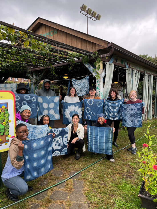 Indigo Plant Dye Workshop