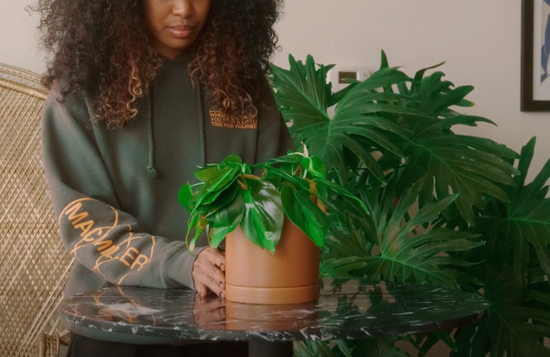 Grounded Earth Week Commercial Screening