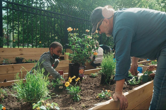 Grounded Garden Party