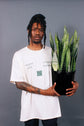 A man carries a large Sansevieria Zeylanica with two hands.
