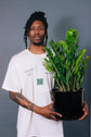 A man holds a mature ZZ plant with both hands.